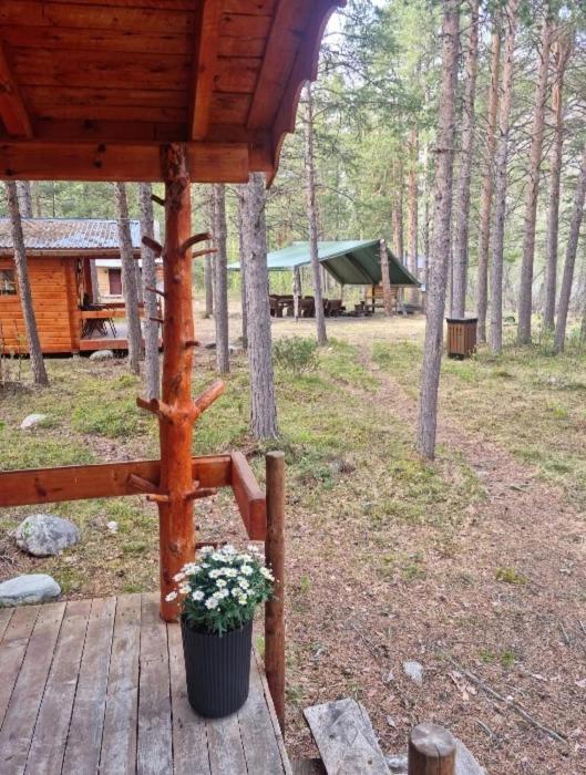 Fotografie z fotogalerie ubytování Tørfoss Gård, Hytte utleie, Campingvogn og bobil plasser v destinaci Potka