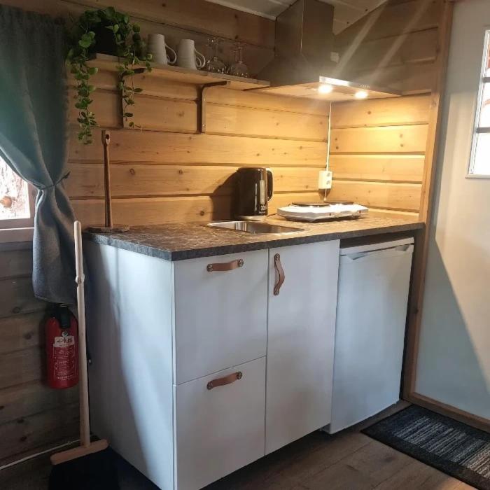 Kuchyň nebo kuchyňský kout v ubytování Tørfoss Gård, Hytte utleie, Campingvogn og bobil plasser