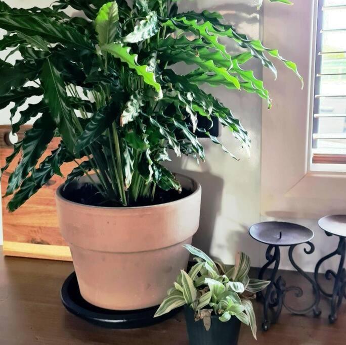 Apartment 3 - Haddin Court - Industrial Glam - Resim 17