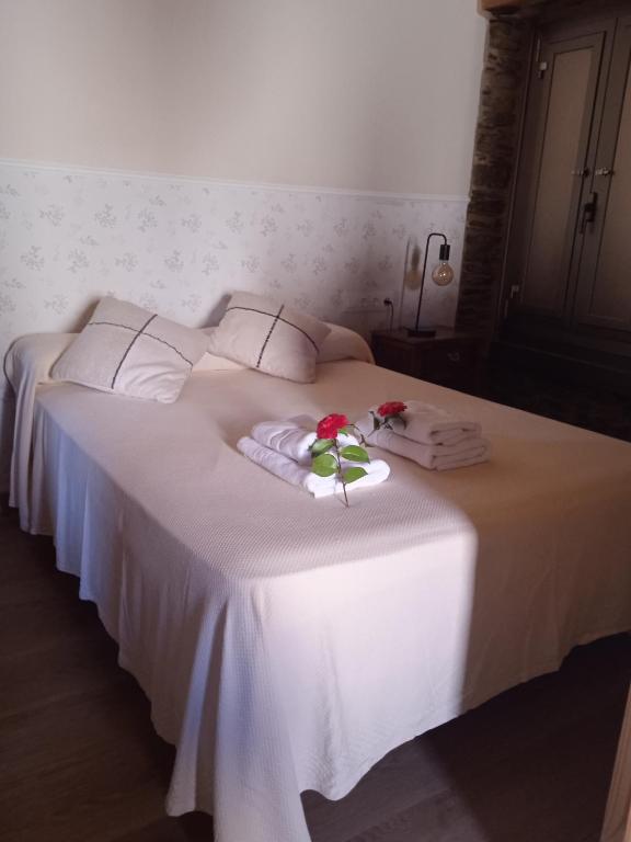 A casa do lajueiro - 3