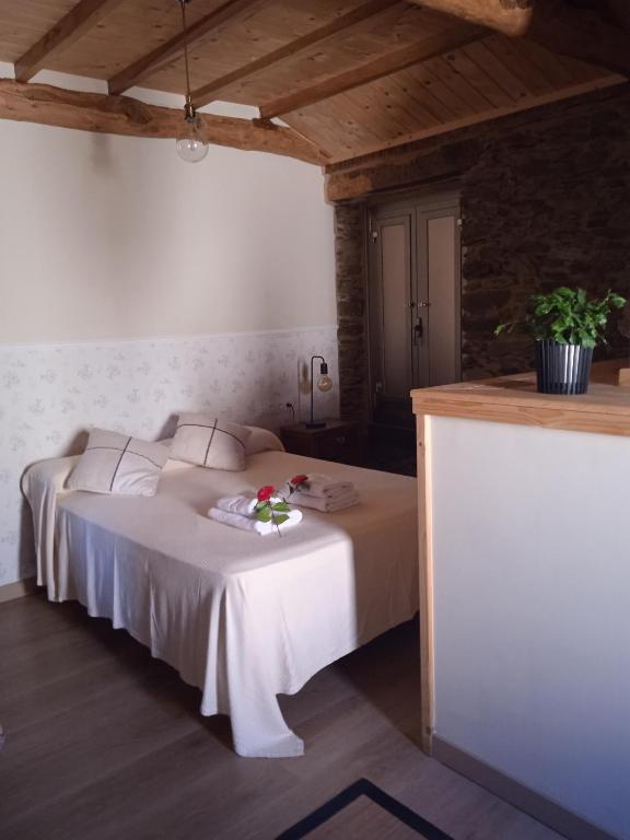 A casa do lajueiro - 8