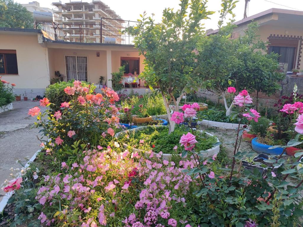 Zahrada ubytování Vlora House