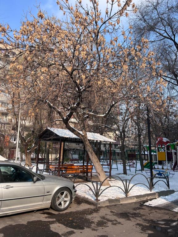 Cozy and stylish Apartment in Yerevan v zimě