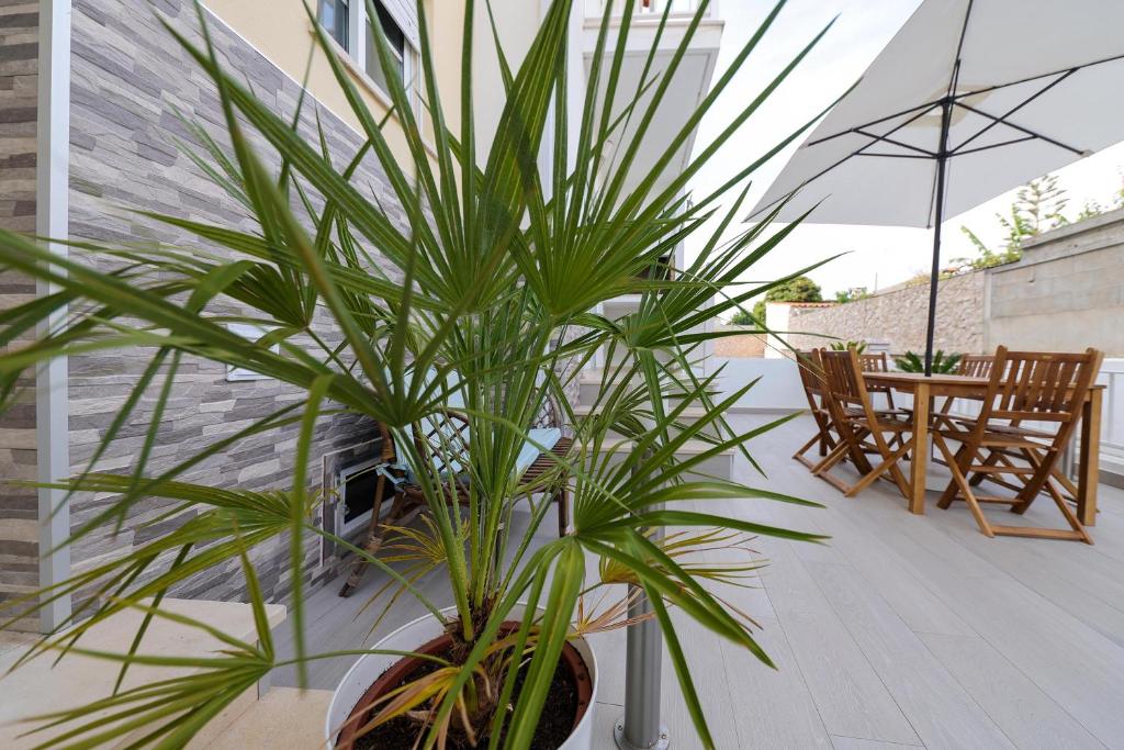 Moradia Chicharro - 10