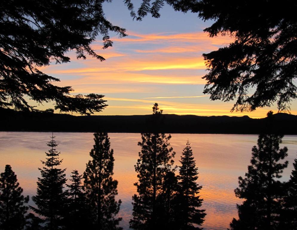 Lake AlmanorにあるCedar Ridge Retreat Lake Almanorの日没時の水中の木々の反射