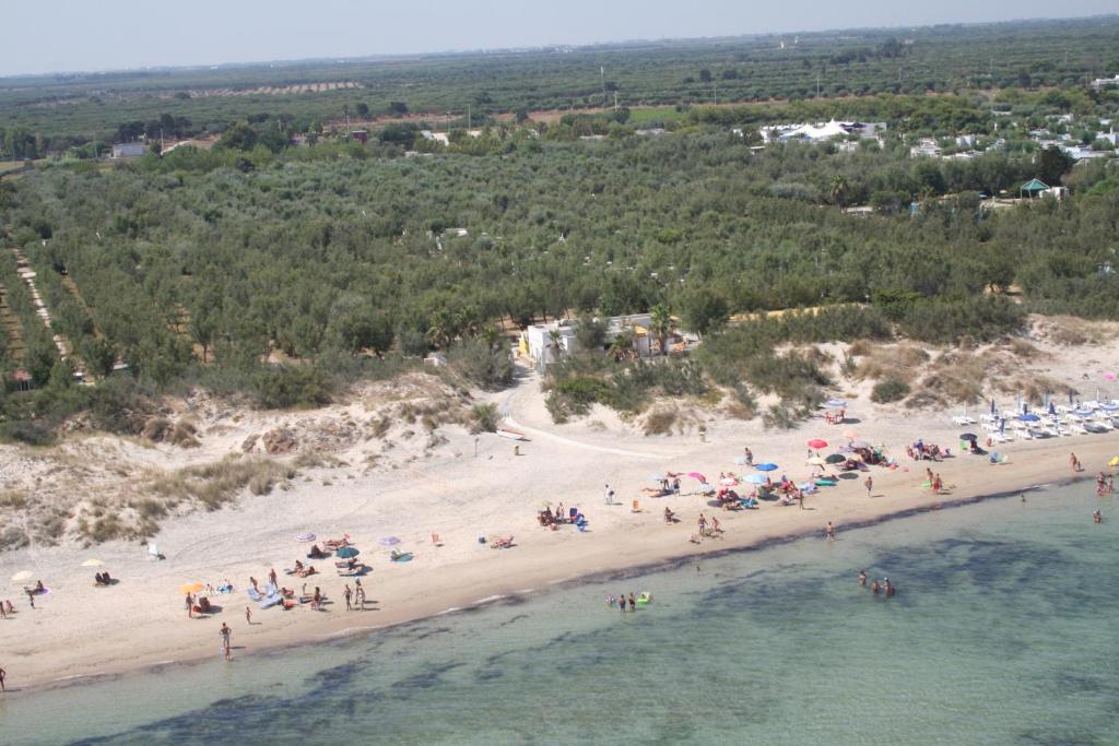 トッレ・リナルダにあるHappy Camp Mobile Homes in Torre Rinaldaの人々が乗る海岸の空中風景