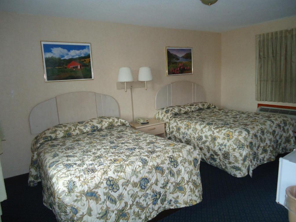 Elm Motel photo