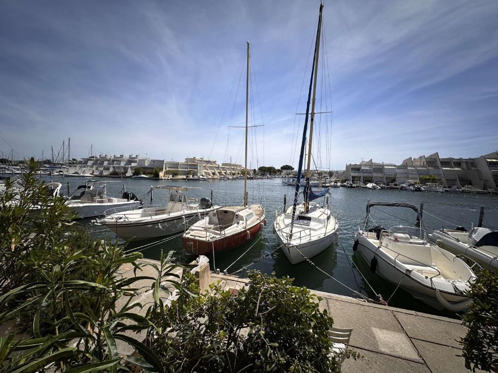 un groupe de bateaux amarrés dans un port dans l'établissement Marina 2 pièces bord de mer, parking privé, 5 pers - FR-1-731-77, au Grau-du-Roi