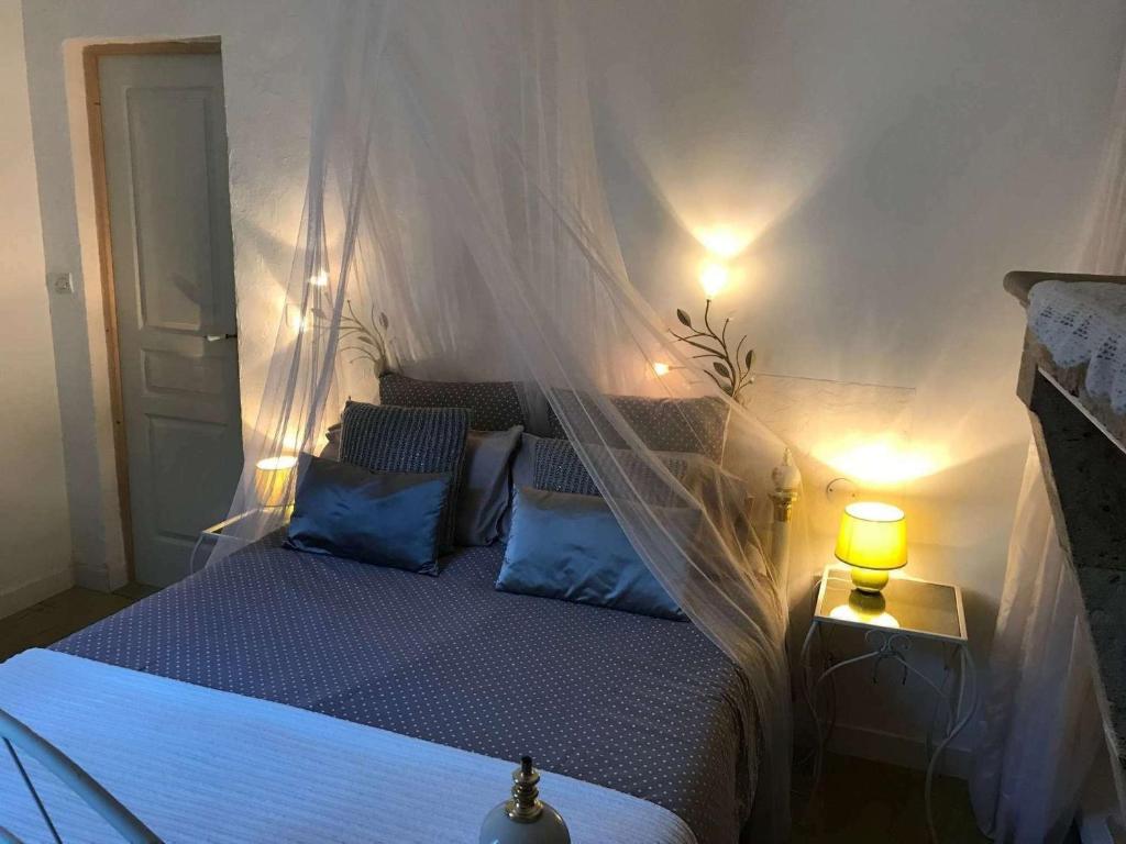 ボルドーにあるB&B Le Miroir aux Fées Bordeauxのベッドルーム(蚊帳付きのベッド付)