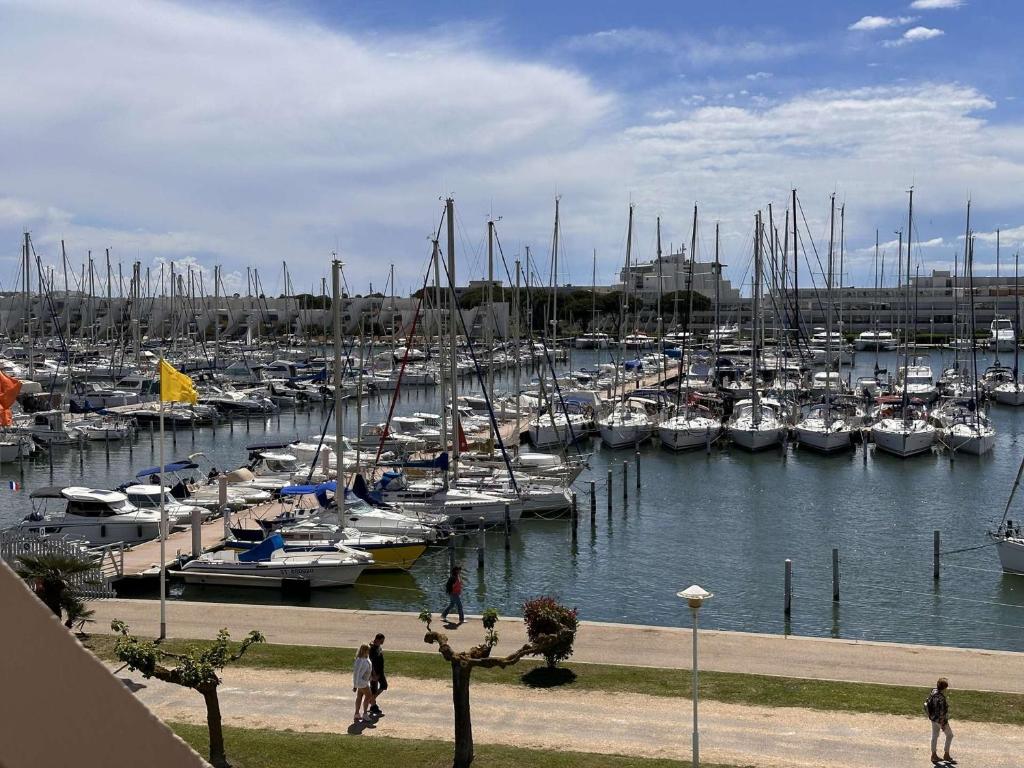 un groupe de bateaux amarrés dans un port de plaisance dans l'établissement Appartement 3 Pièces, Piscine Privée, Proche Plage - Port Camargue - FR-1-731-74, au Grau-du-Roi