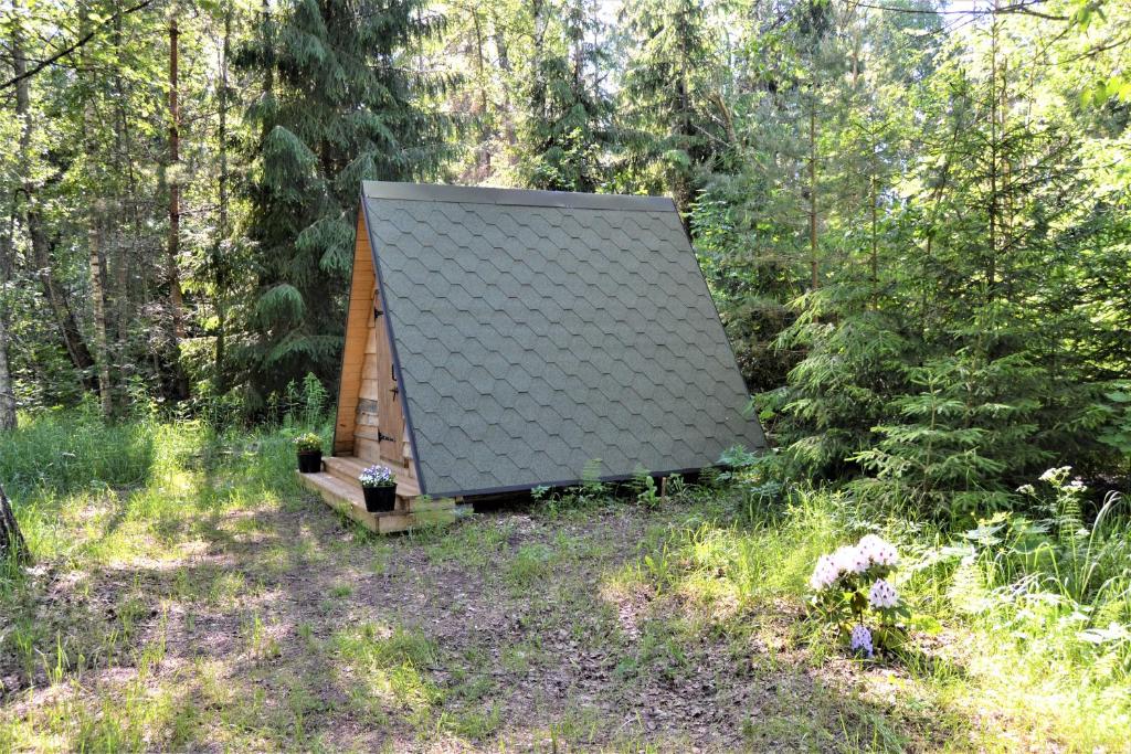 a cabin with a pitched roof in the woods at Korjuse Moor in Korjuse