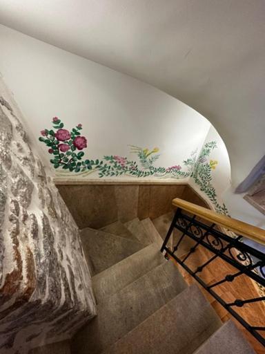 Foto de la galería de CENTRUM HOSTEL en Kotor