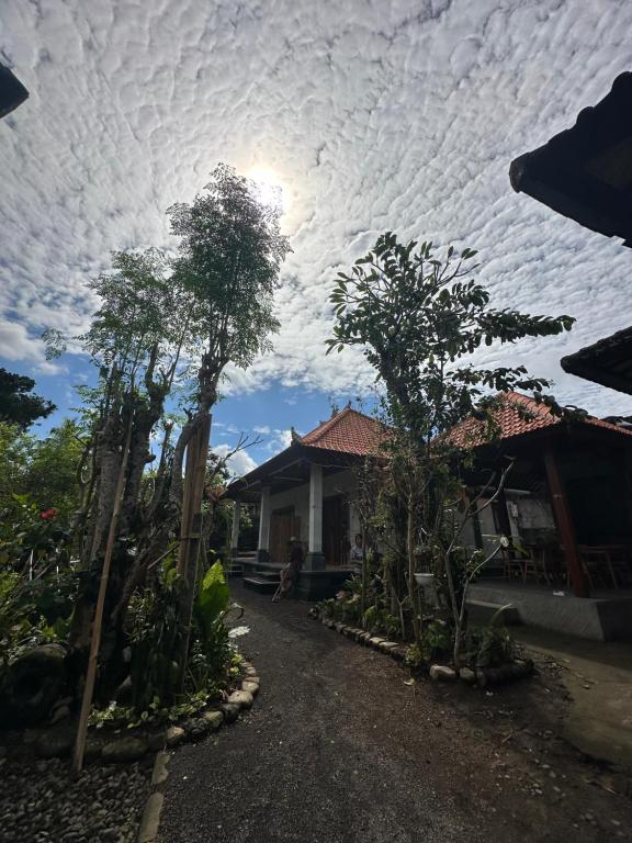 Made Putu homestay - 16