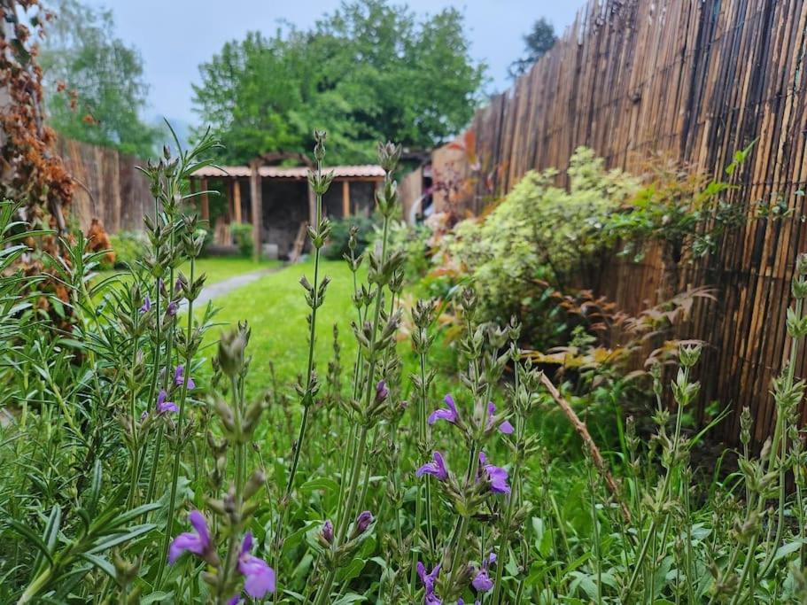 un jardin avec des fleurs violettes devant une clôture en bois dans l'établissement Marmoza - Maison plein cœur de village, à Saint-Geniez-dʼOlt