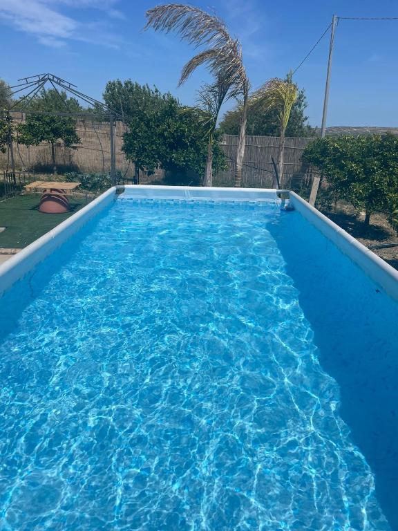 a swimming pool with blue water in a yard at U Ranatu in San Paolo