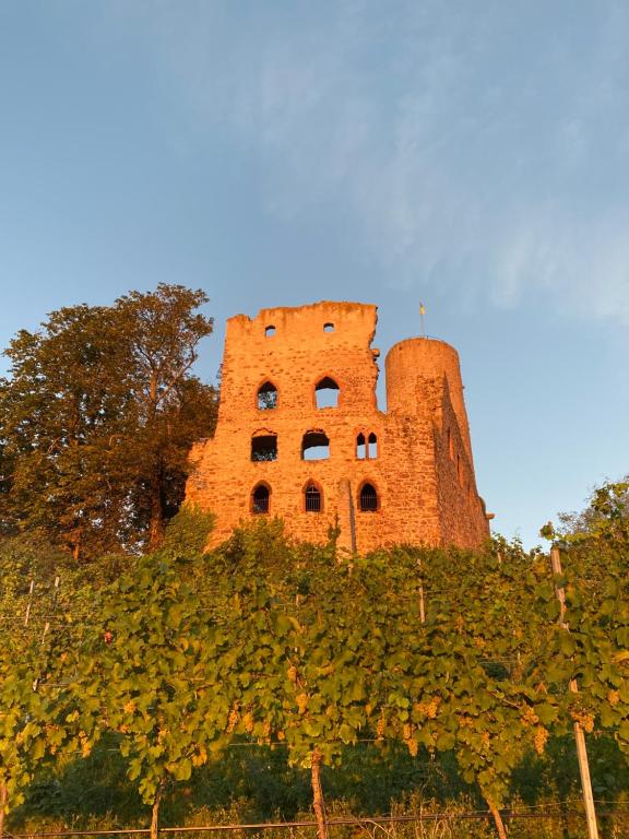 Fotografie z fotogalerie ubytování Hotel Scheid v destinaci Schriesheim