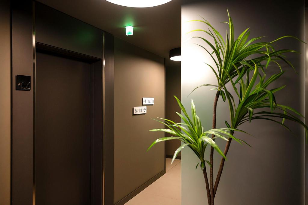 Hotel Verona - Resim 16