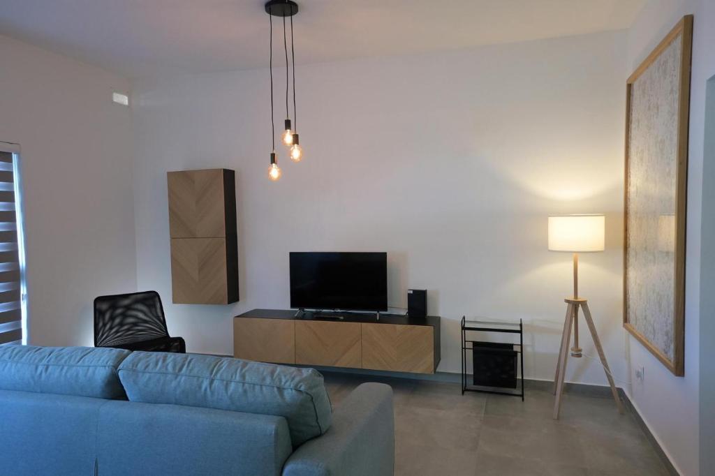 TV a/nebo společenská místnost v ubytování Lacass Apartment