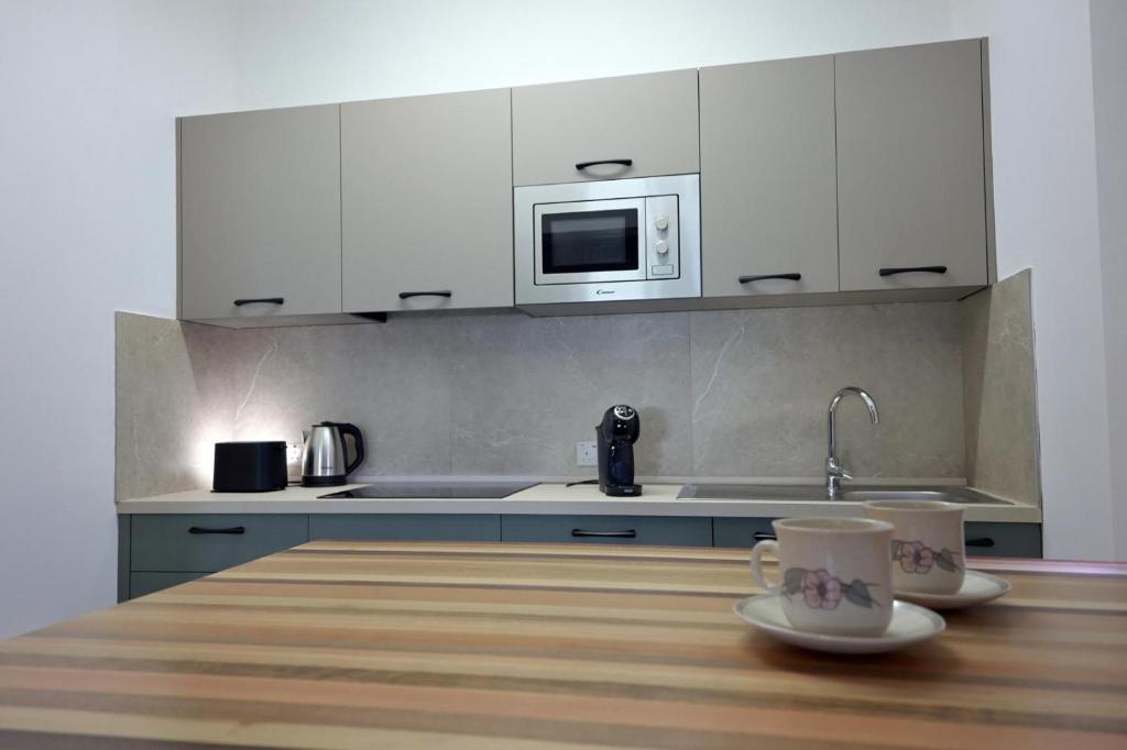Kuchyň nebo kuchyňský kout v ubytování Lacass Apartment