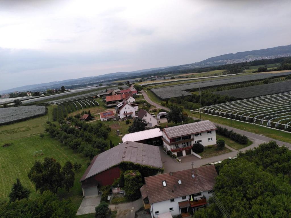 Příroda nedaleko farmy