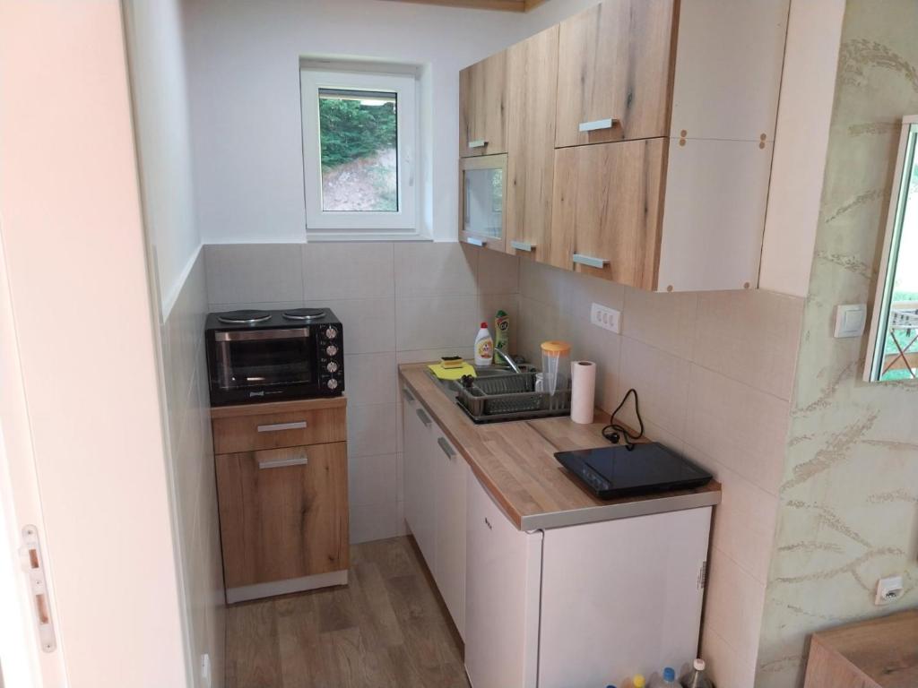 Kuchyň nebo kuchyňský kout v ubytování Visočka Banja Apartmani