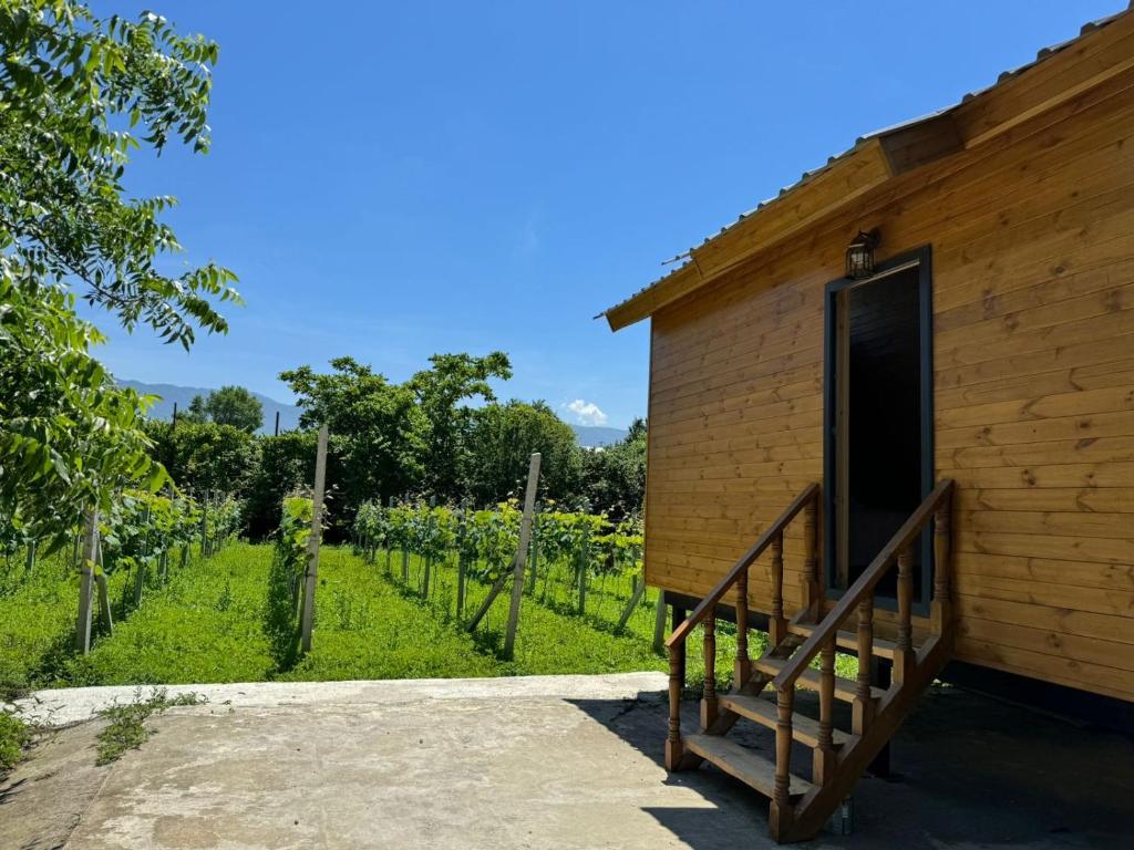 Orion Cottage في باتومي: كوخ في مزارع العنب بجانب ميدان الكرمات