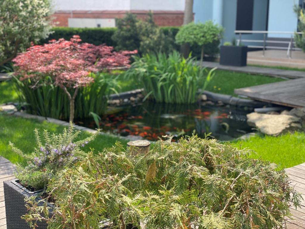 Reghina Blue Hotel - Resim 13