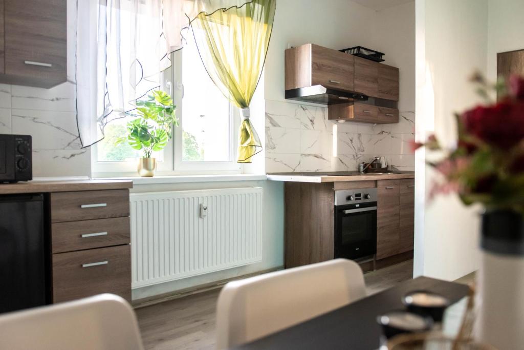 Kuchyň nebo kuchyňský kout v ubytování Apartmá Vrbice
