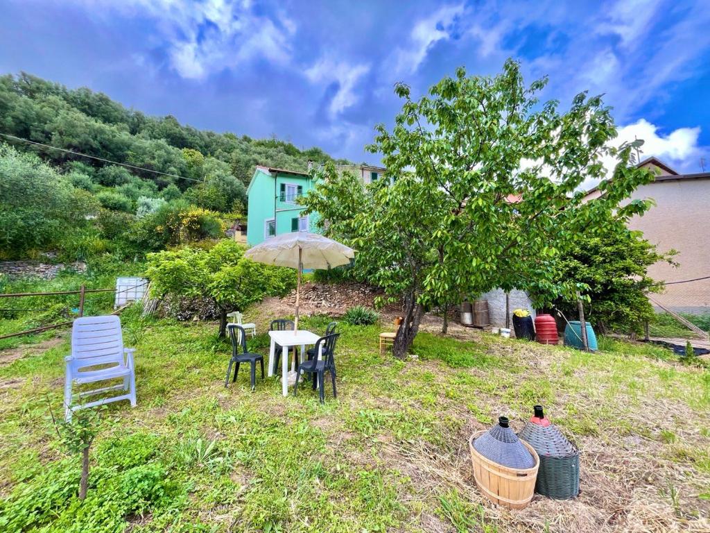 Κήπος έξω από το [AC & Garden] Olive Grove Oasis