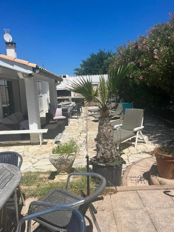 d'une terrasse avec des chaises et un palmier dans la cour. dans l'établissement Maison charmante à Marseillan avec grand jardin et terrasse, à Marseillan