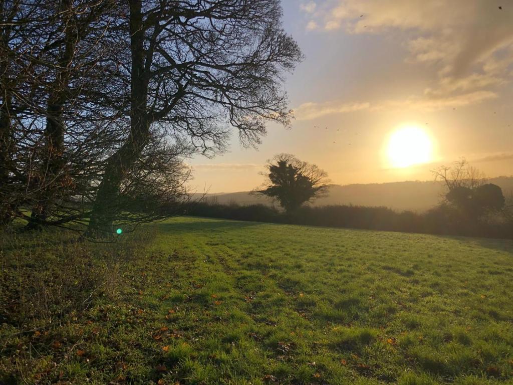 a field with the sun setting in the background at Dudmore Lodge in Marlborough