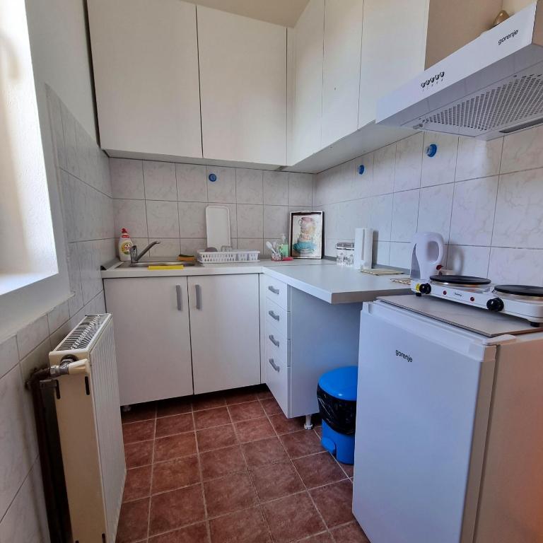 Kuchyň nebo kuchyňský kout v ubytování Apartman VEGA
