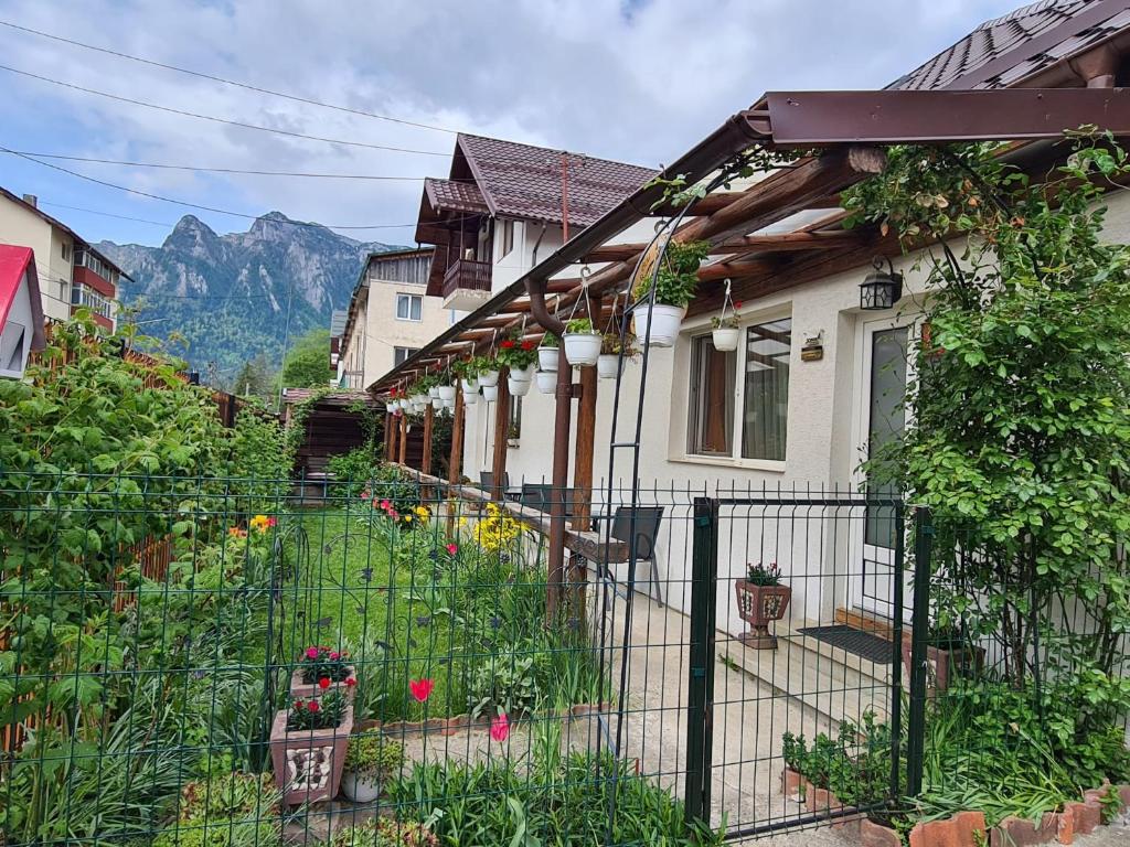a house with a fence and a garden with flowers at Casa Farcaș Bușteni in Buşteni