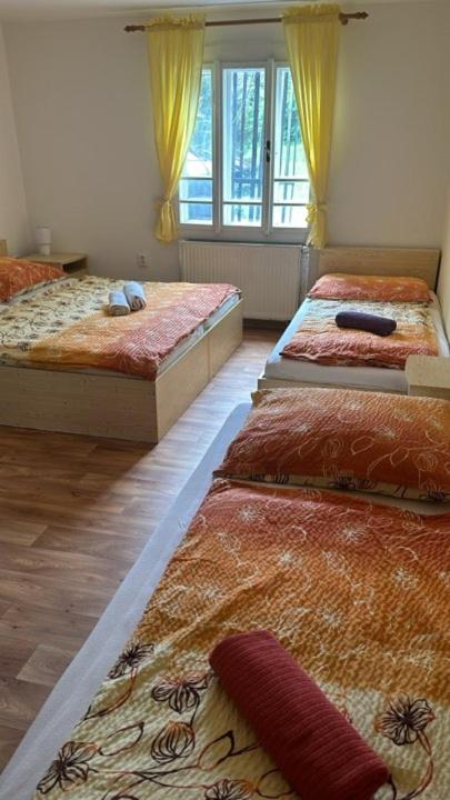 Postel nebo postele na pokoji v ubytování Chata Orlice