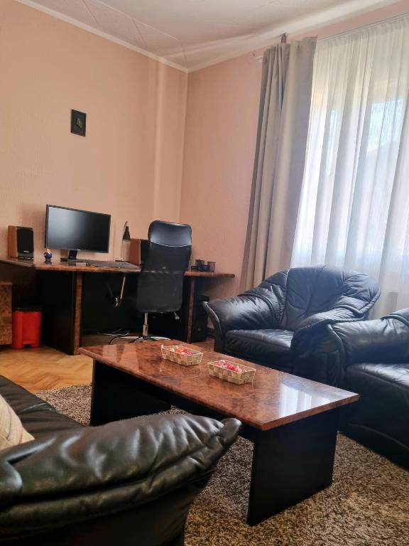 TV a/nebo společenská místnost v ubytování Apartman VEGA