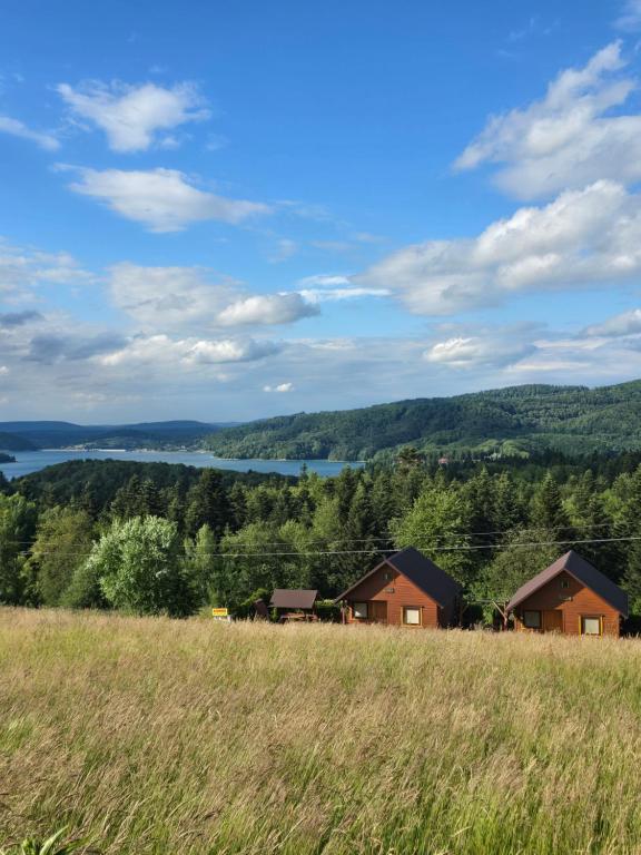 un champ d'herbe avec des maisons en arrière-plan dans l'établissement Domki U Julka Nad Jeziorem Solińskim z Jacuzzi, à Werlas