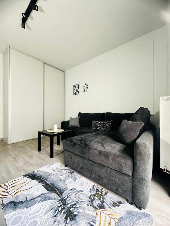 Małe Garbary 8 Apartment - 3