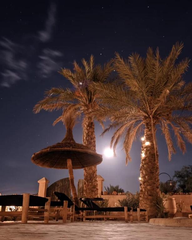 two palm trees and a fountain at night at RiadSuerteloca Merzouga in Merzouga