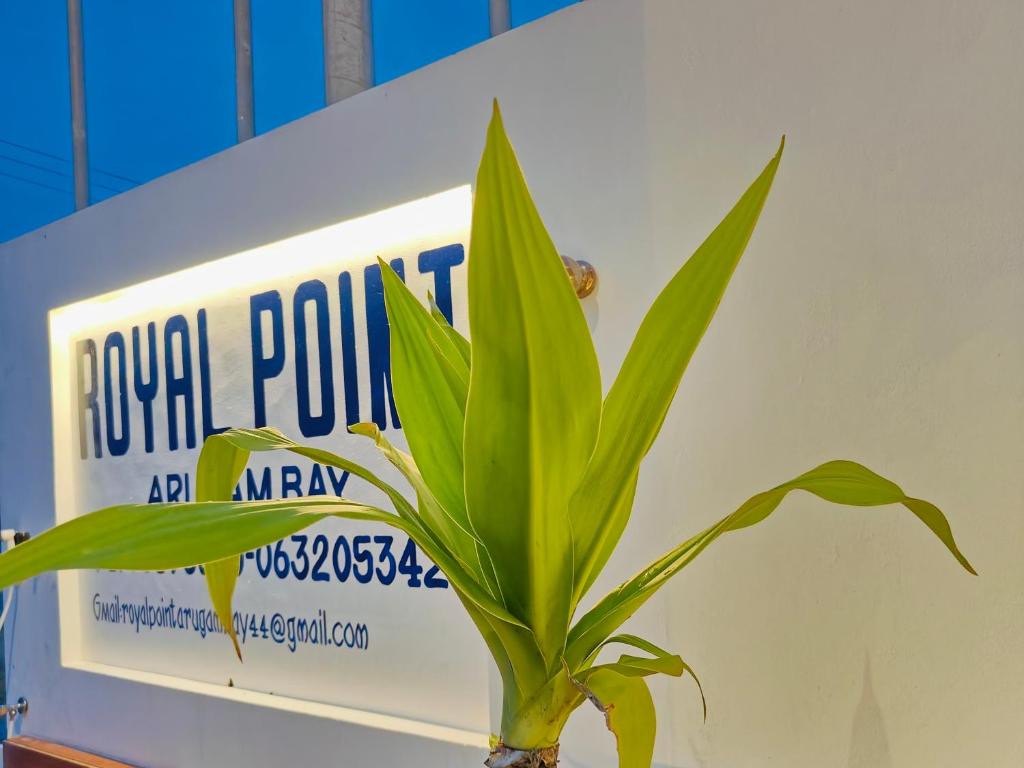 a plant sitting in front of a sign with a poster at Royal Point Arugambay in Arugam Bay