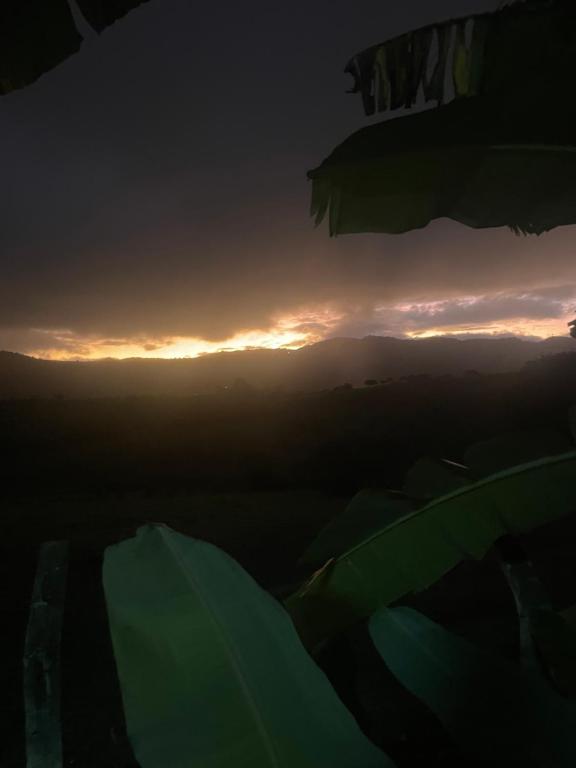 Chalé Bela Vista / Bezerros PE