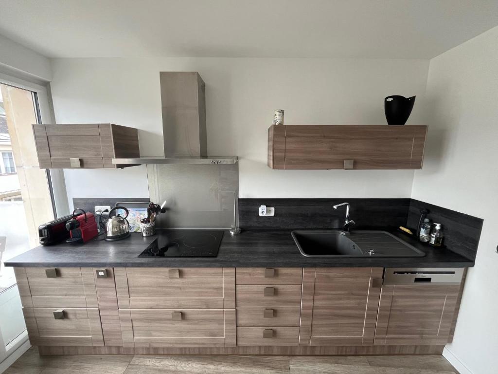Kuchnia lub aneks kuchenny w obiekcie Appartement LE JULES FAVRE