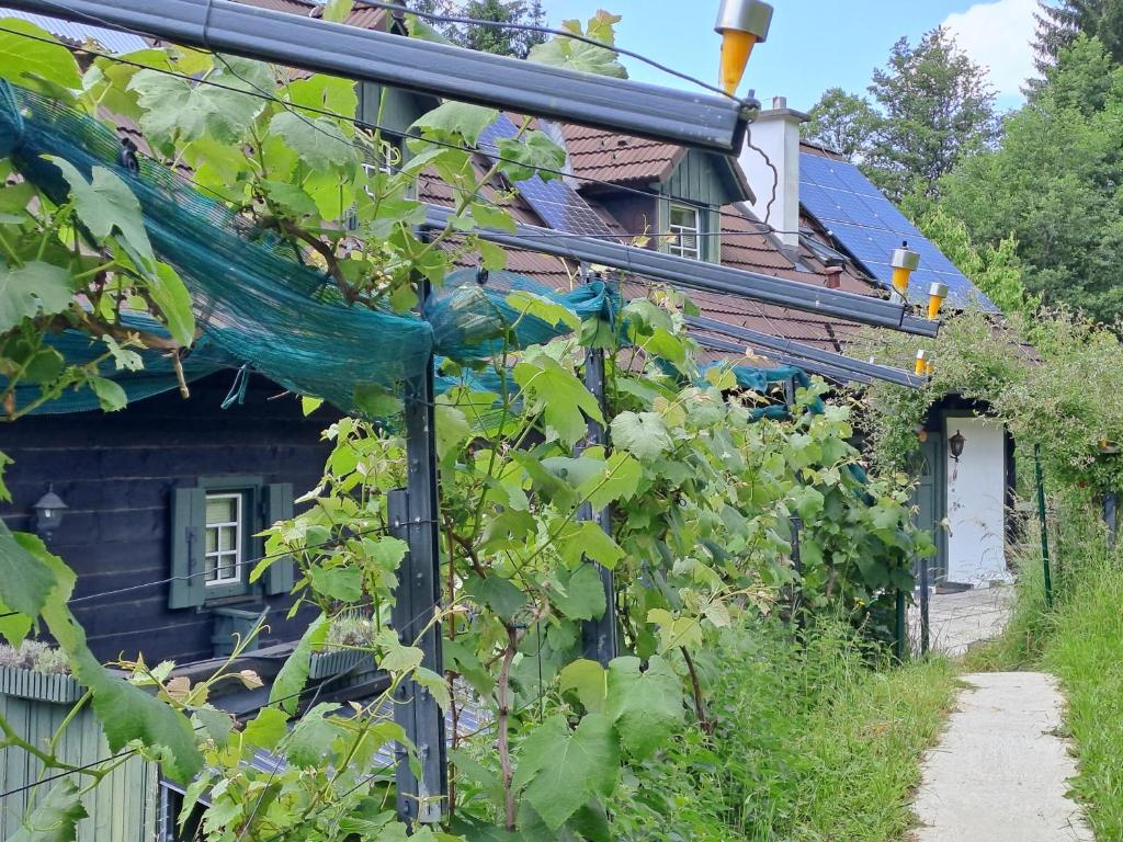 Zahrada ubytování Das Altsteirische Landhaus - La Maison de Pronegg - Feriendomizil im Biosphärenpark Wienerwald
