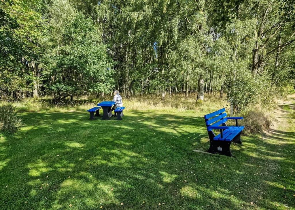 un niño sentado en dos bancos azules en un parque en Nethercraig Holiday Park, en Alyth