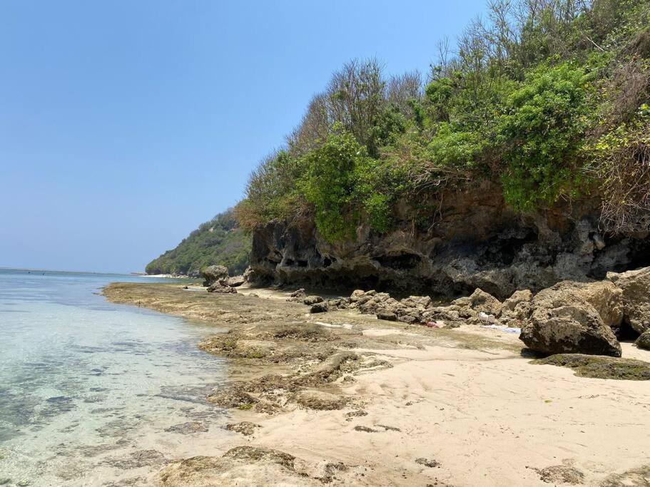 Příroda nedaleko prázdninového domu