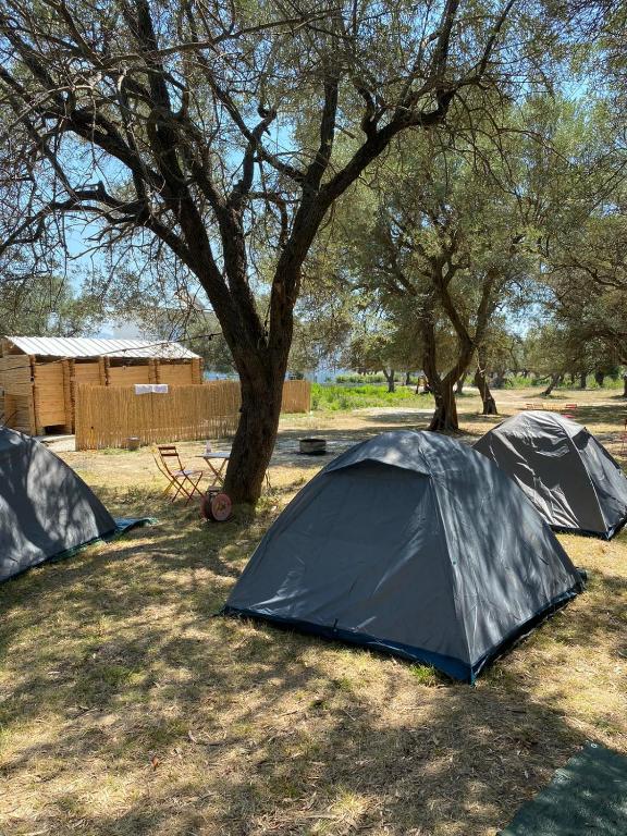 Fotografie z fotogalerie ubytování Borsh Olive Camping v destinaci Borsh