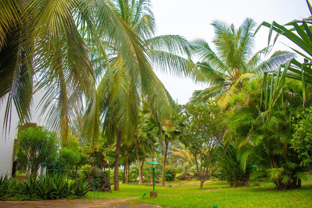 Zahrada ubytování Beverly Africa Suites Malindi