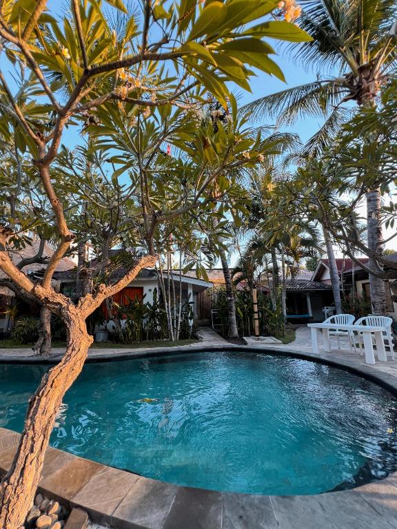 a swimming pool with a tree in front of a house at Coconut Dream in Gili Trawangan