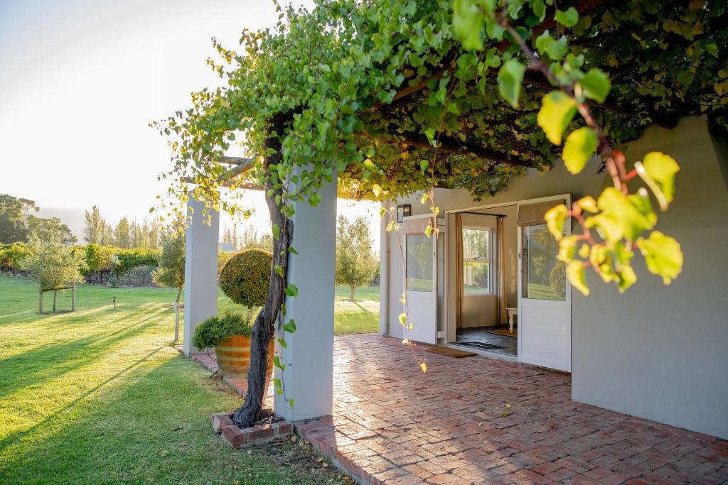 a house with a tree and a brick walkway at Saronsberg Vineyard Cottages in Tulbagh