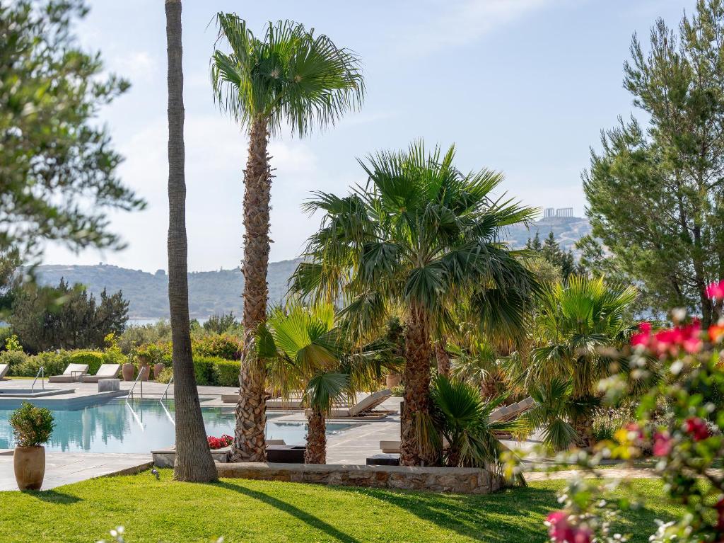 Zahrada ubytování Cape Sounio, A Grecotel Resort to Live