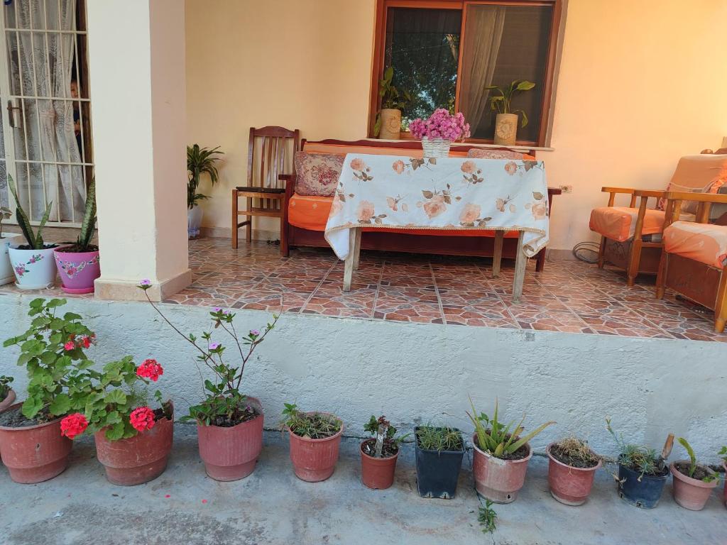 Posezení v ubytování Vlora House